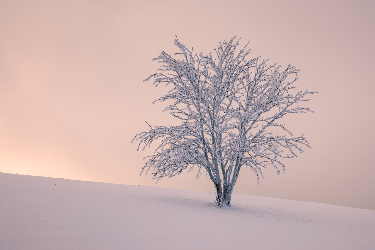 Magical Winter Light in the German Rhön on the first day of 2021.