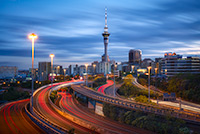 Auckland Blues - New Zealand Thumbnail