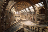 Natural History Museum - London Thumbnail